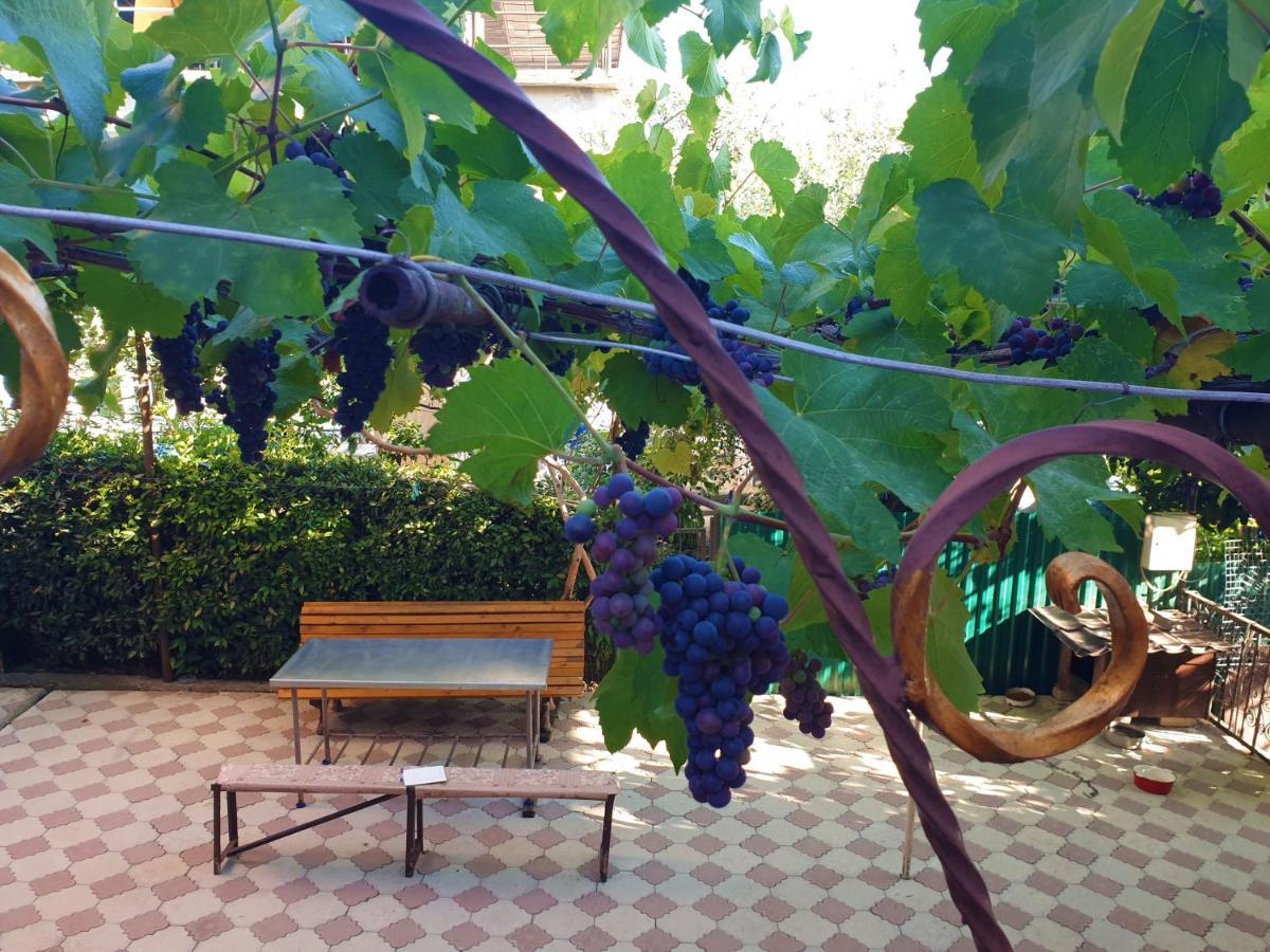 Guest House Lykhny Gagra Dış mekan fotoğraf