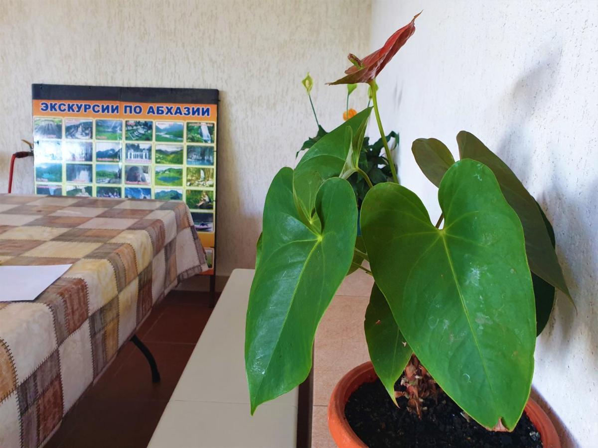 Guest House Lykhny Gagra Dış mekan fotoğraf